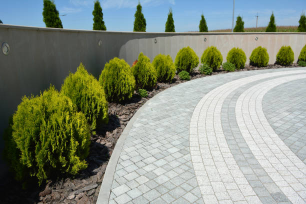 Best Driveway Pavers Near Me  in Springhill, LA